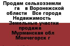 Продам сельхозземли ( 6 000 га ) в Воронежской области - Все города Недвижимость » Земельные участки продажа   . Мурманская обл.,Мончегорск г.